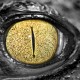 new drug threat Krokodil