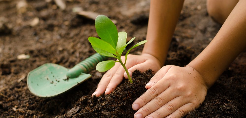 gardening