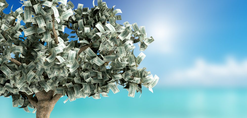 money tree